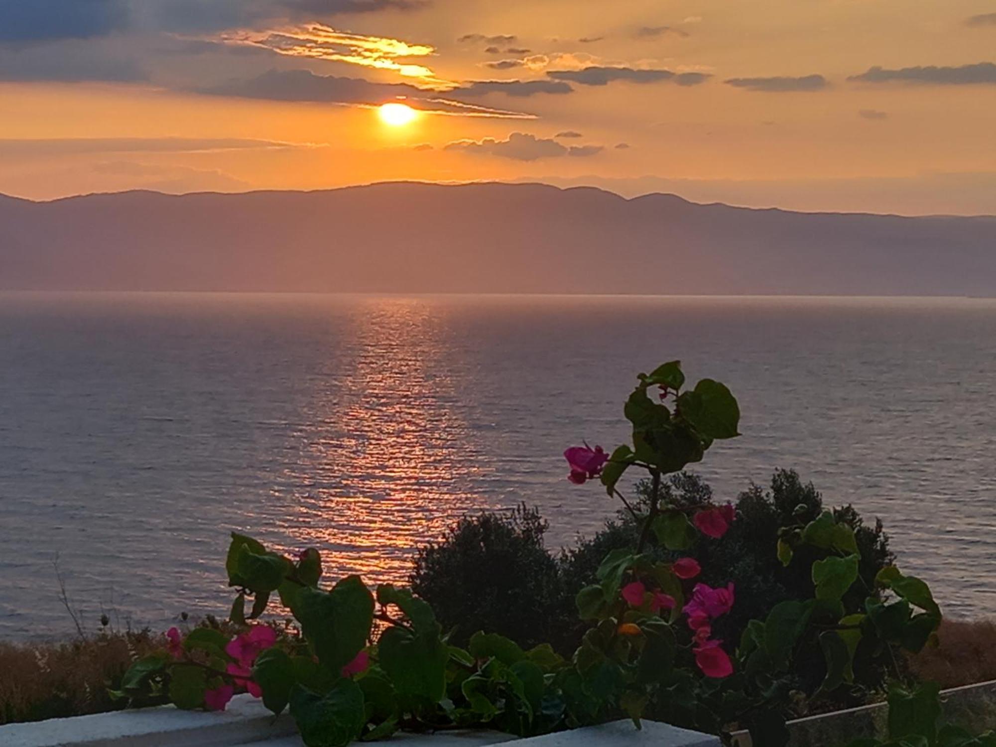 Çeşme 마비 파노라마 빌라 외부 사진