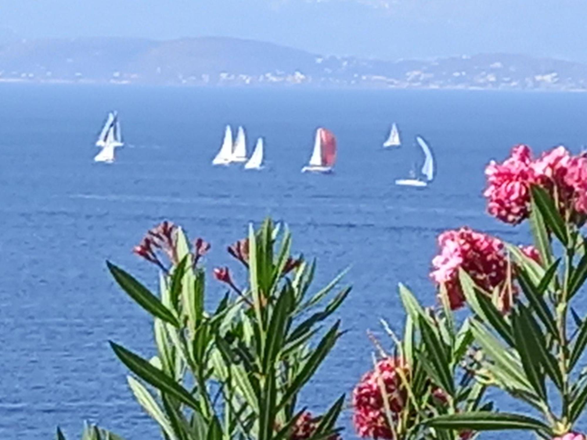 Çeşme 마비 파노라마 빌라 외부 사진