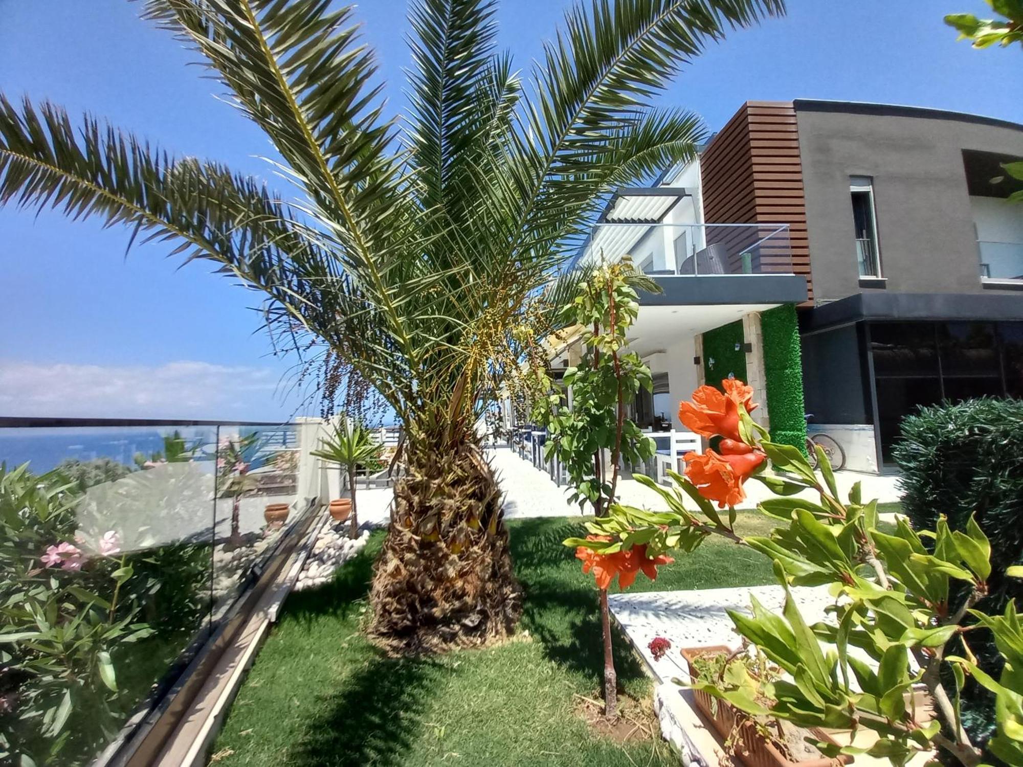 Çeşme 마비 파노라마 빌라 외부 사진